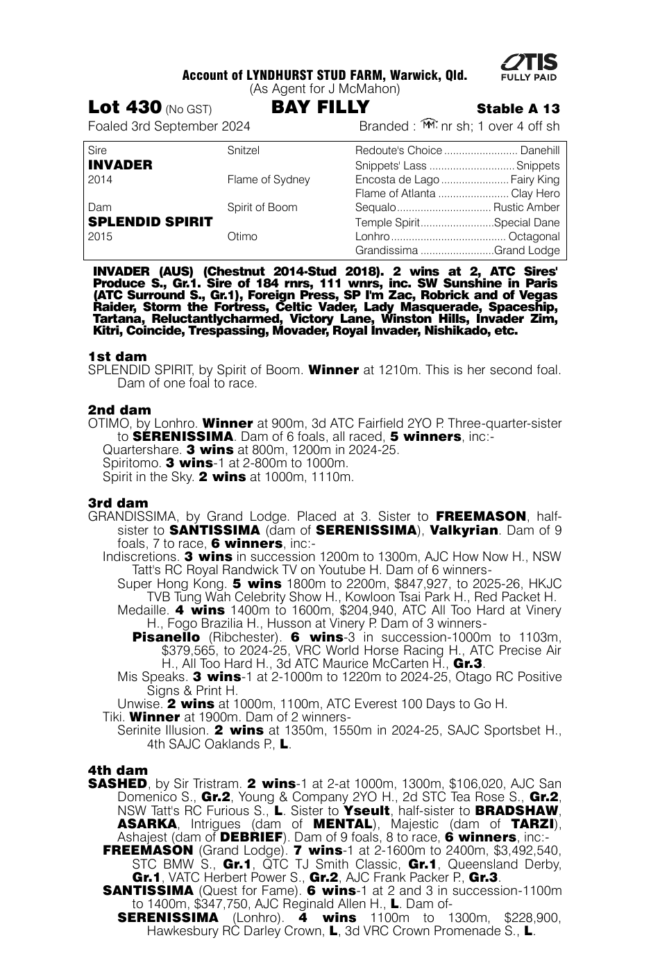 Pedigree - Lot 430