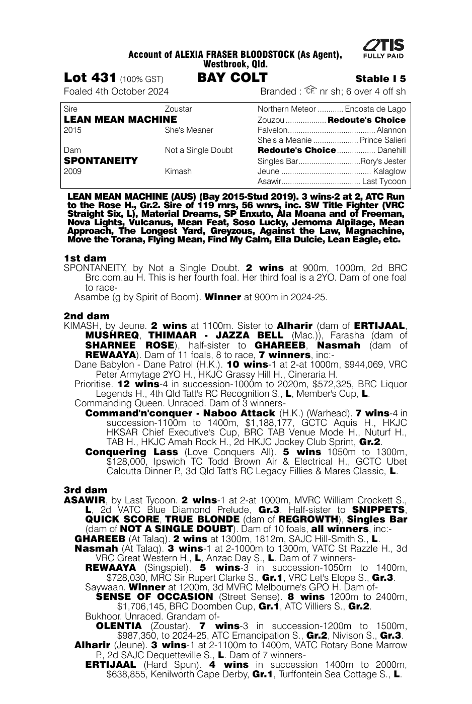 Pedigree - Lot 431