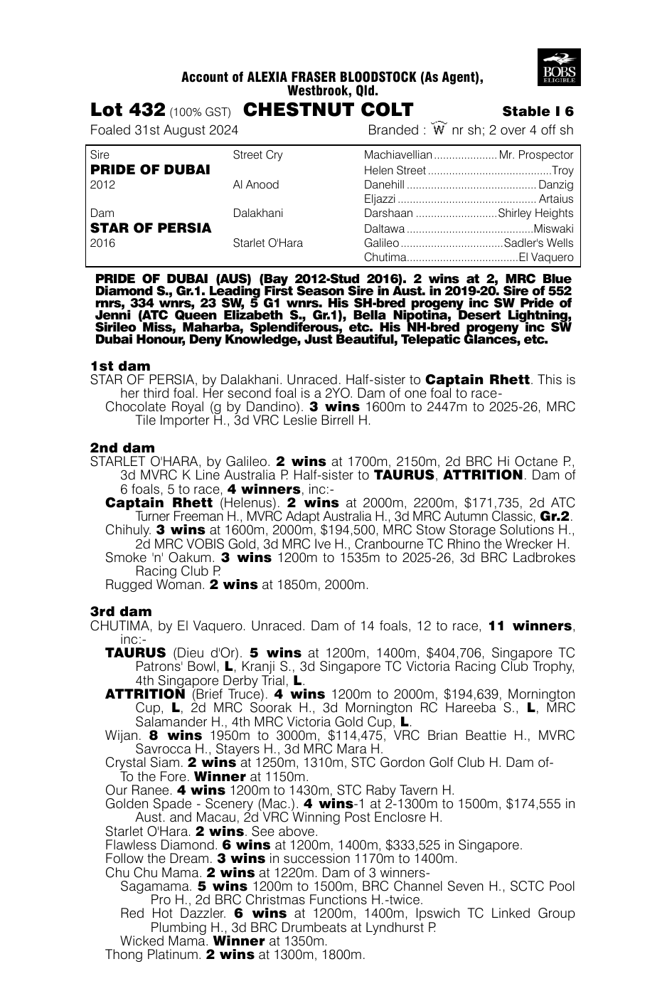 Pedigree - Lot 432