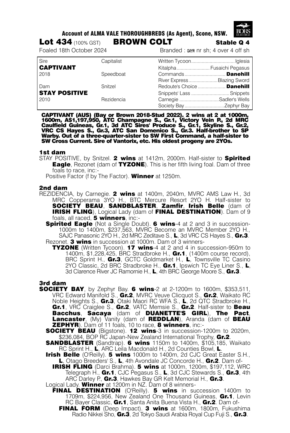 Pedigree - Lot 434