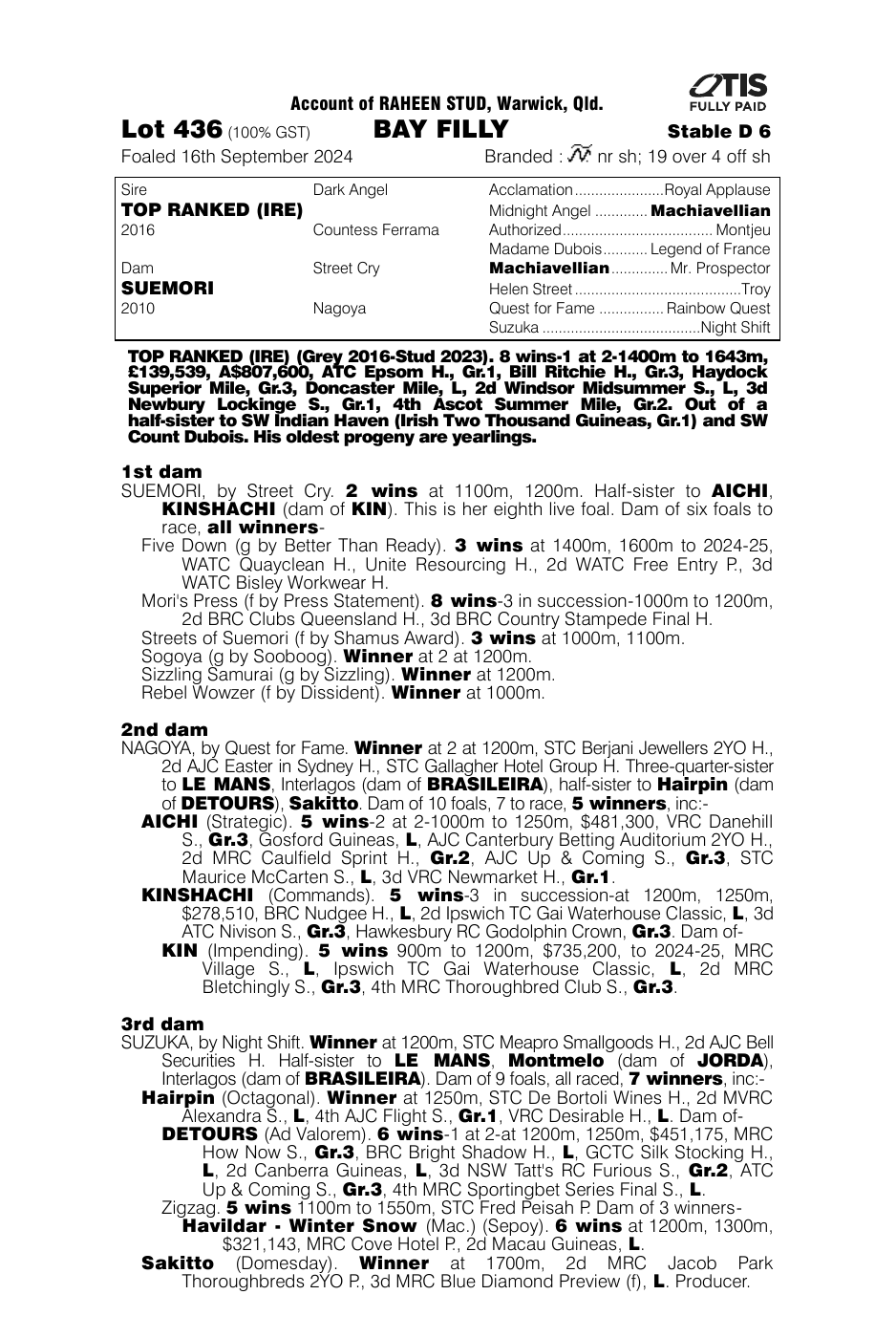 Pedigree - Lot 436