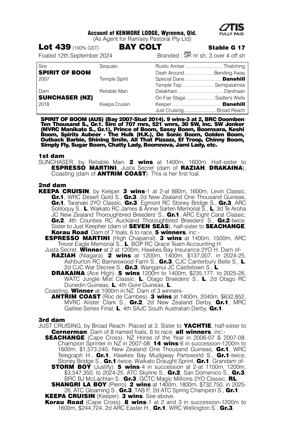 Pedigree - Lot 439