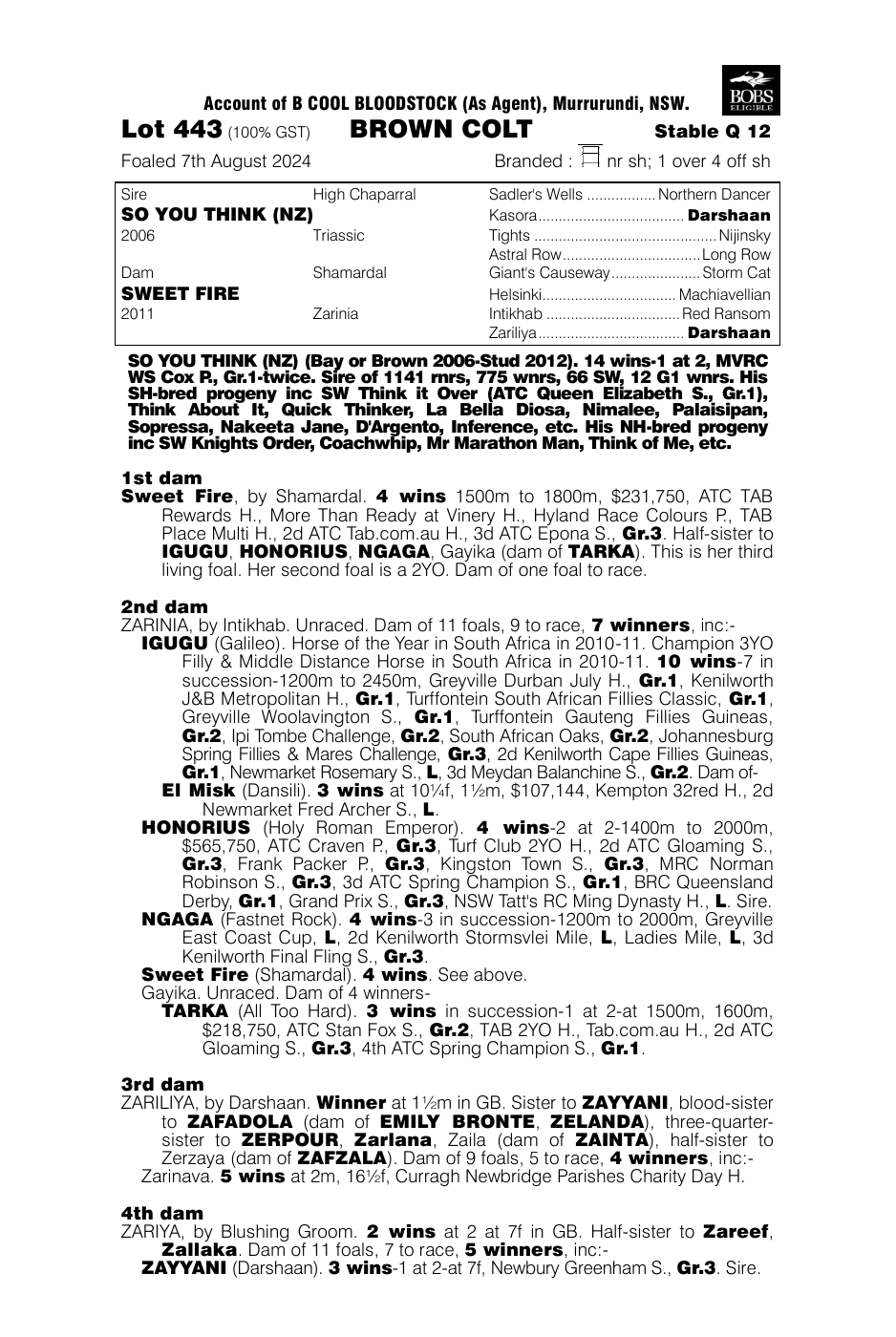 Pedigree - Lot 443