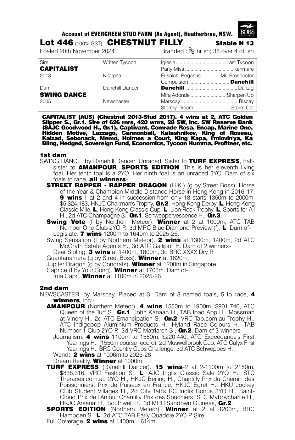 Pedigree - Lot 446