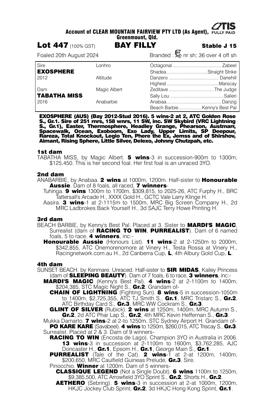 Pedigree - Lot 447