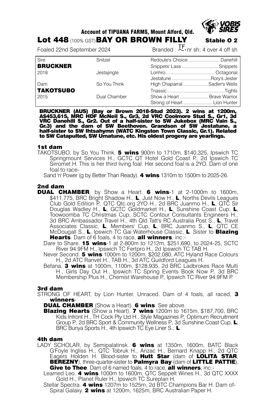 Pedigree - Lot 448