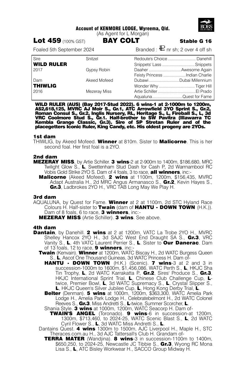 Pedigree - Lot 459