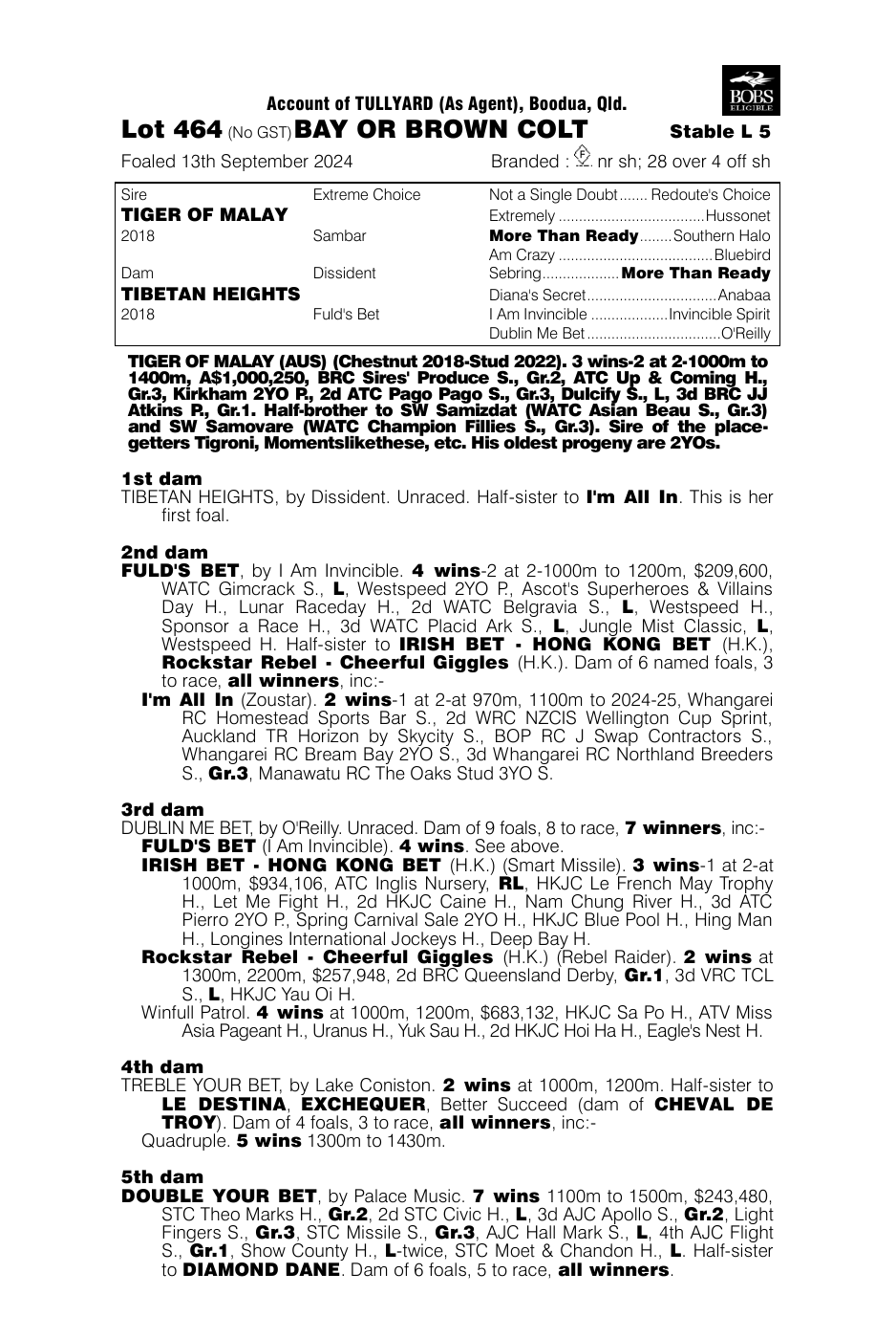 Pedigree - Lot 464