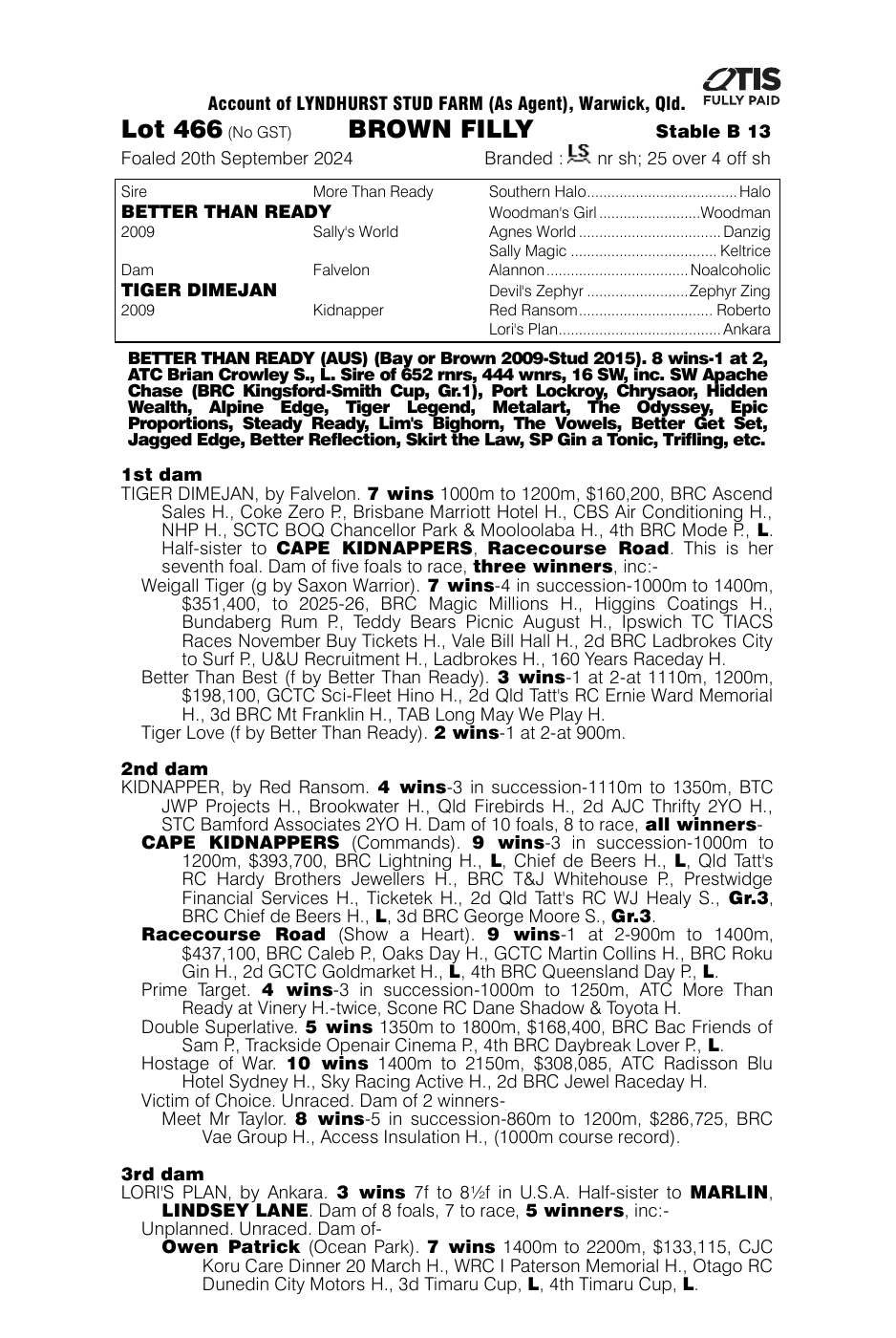 Pedigree - Lot 466