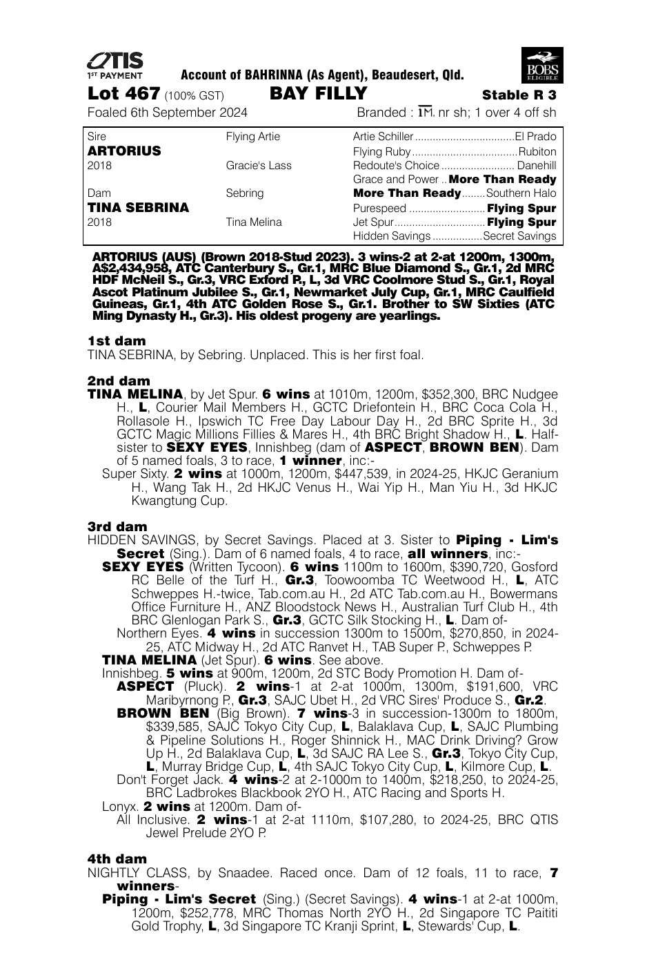 Pedigree - Lot 467