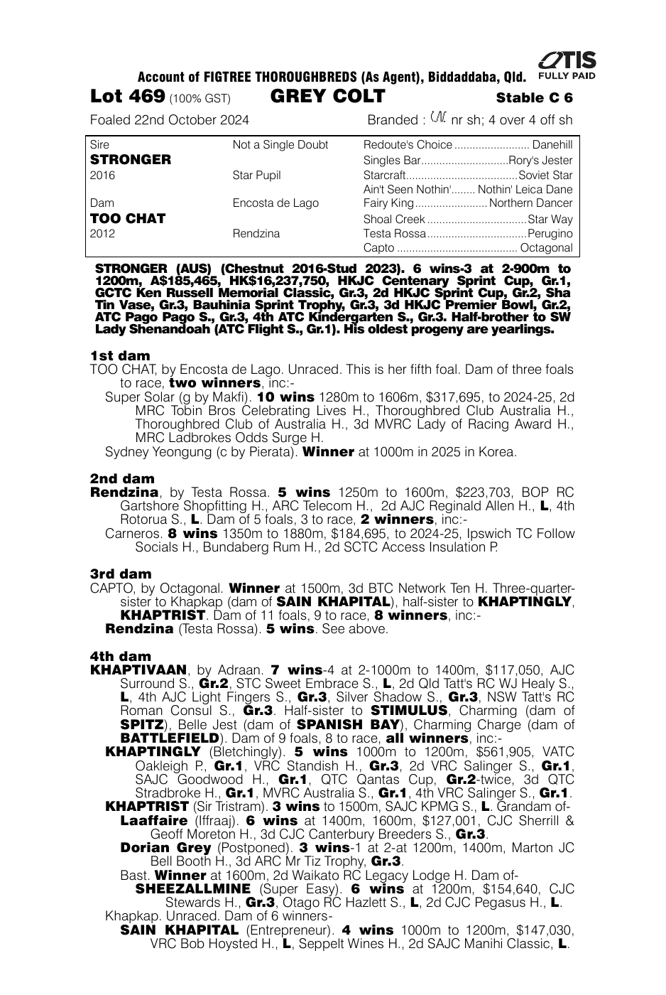 Pedigree - Lot 469