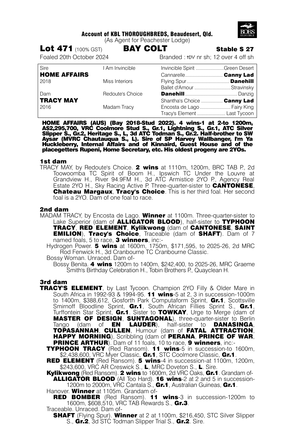 Pedigree - Lot 471