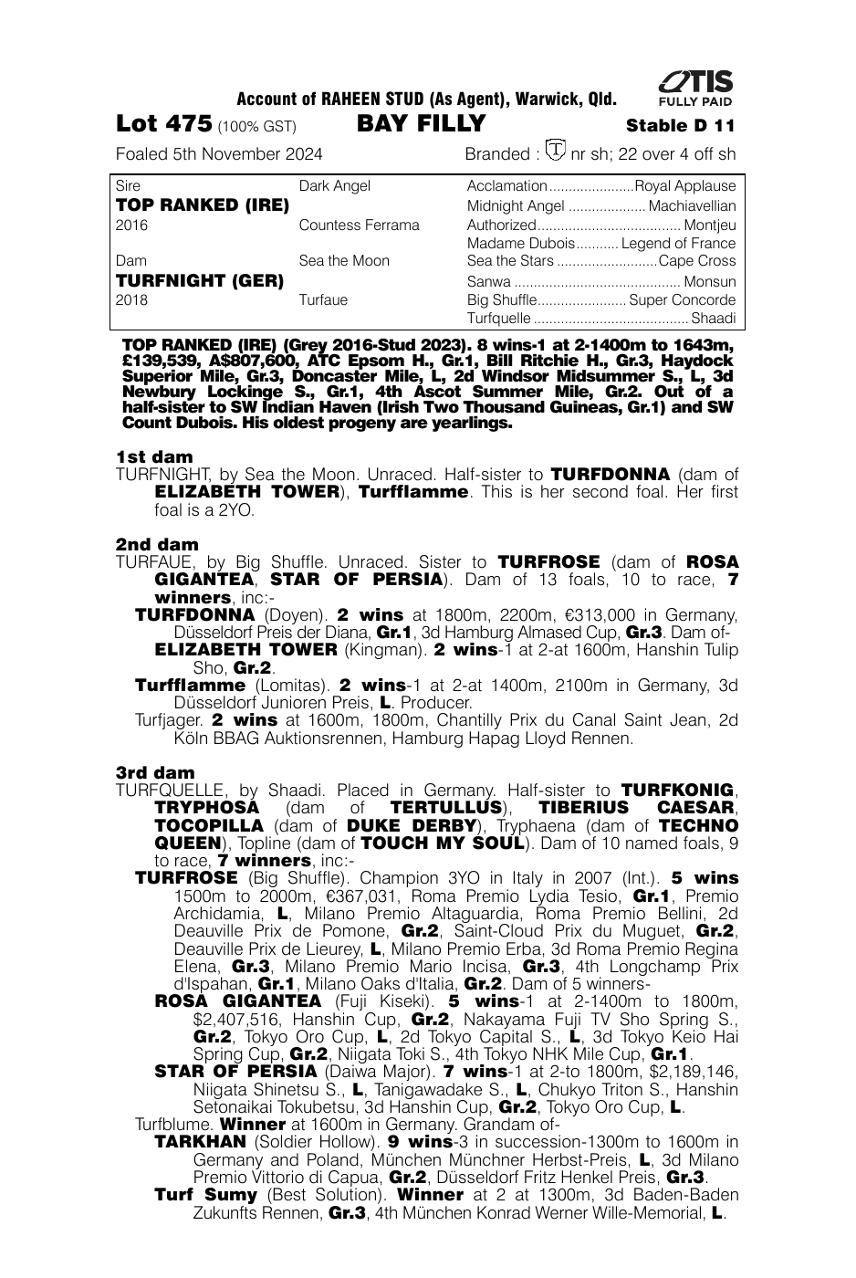 Pedigree - Lot 475