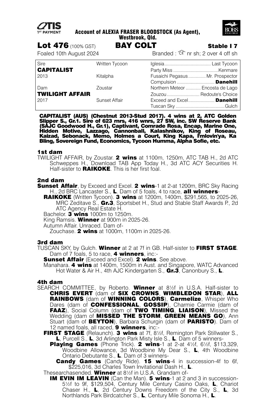Pedigree - Lot 476