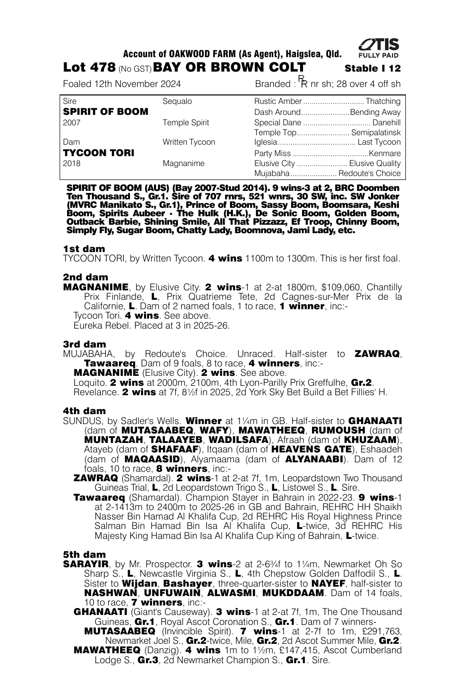 Pedigree - Lot 478