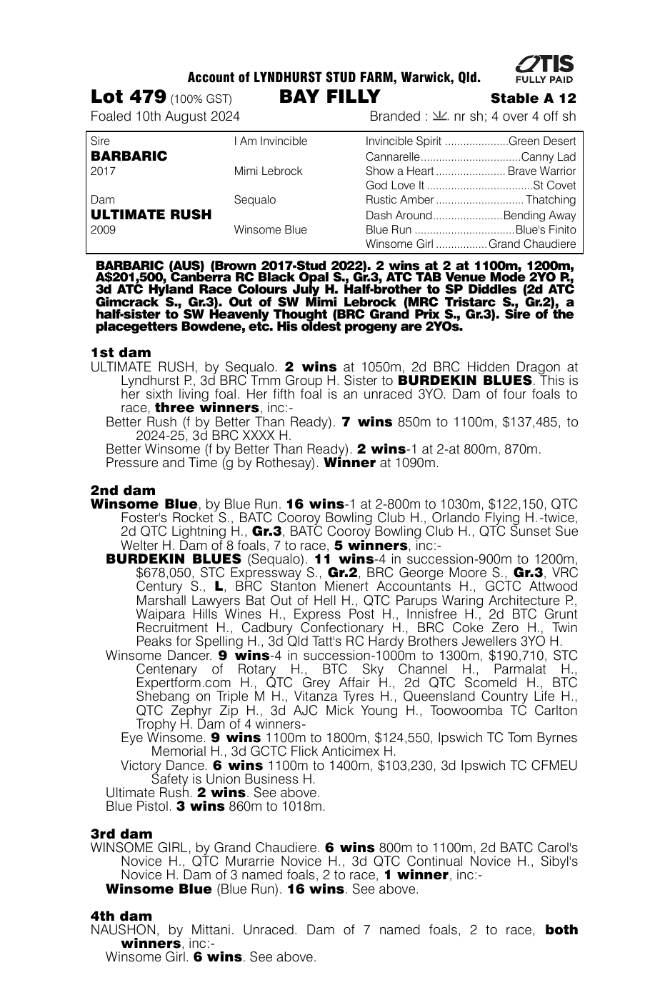 Pedigree - Lot 479