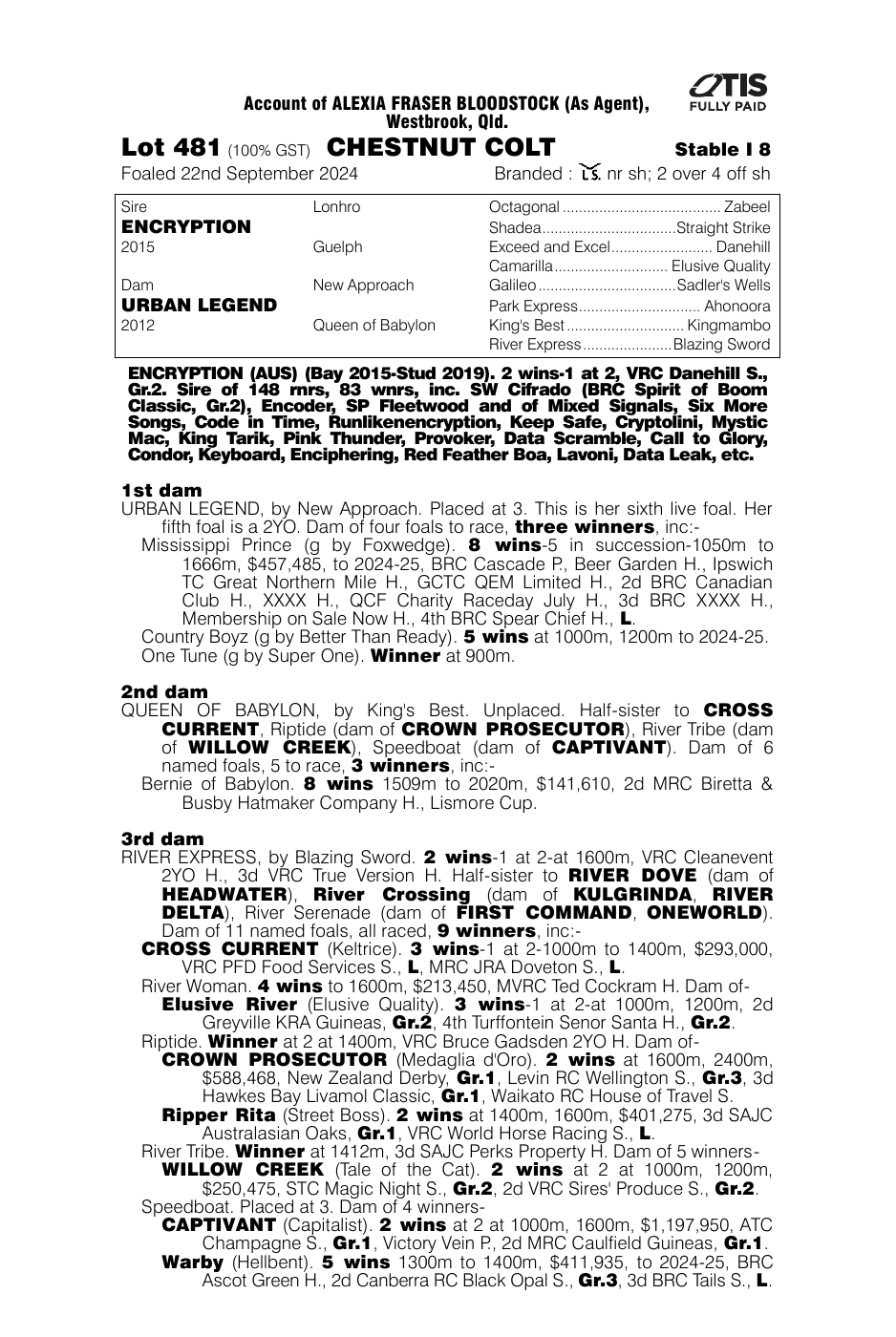 Pedigree - Lot 481