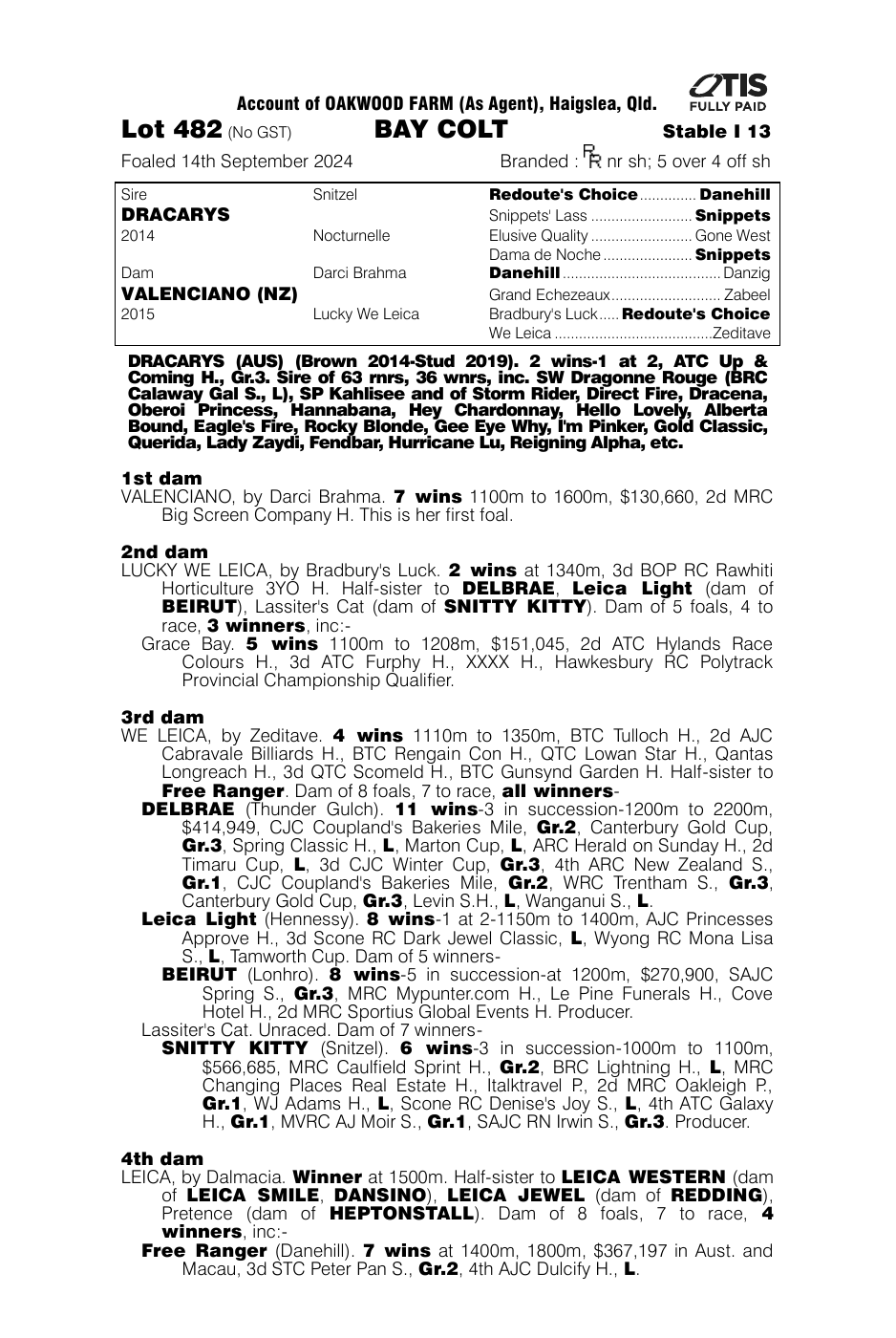 Pedigree - Lot 482