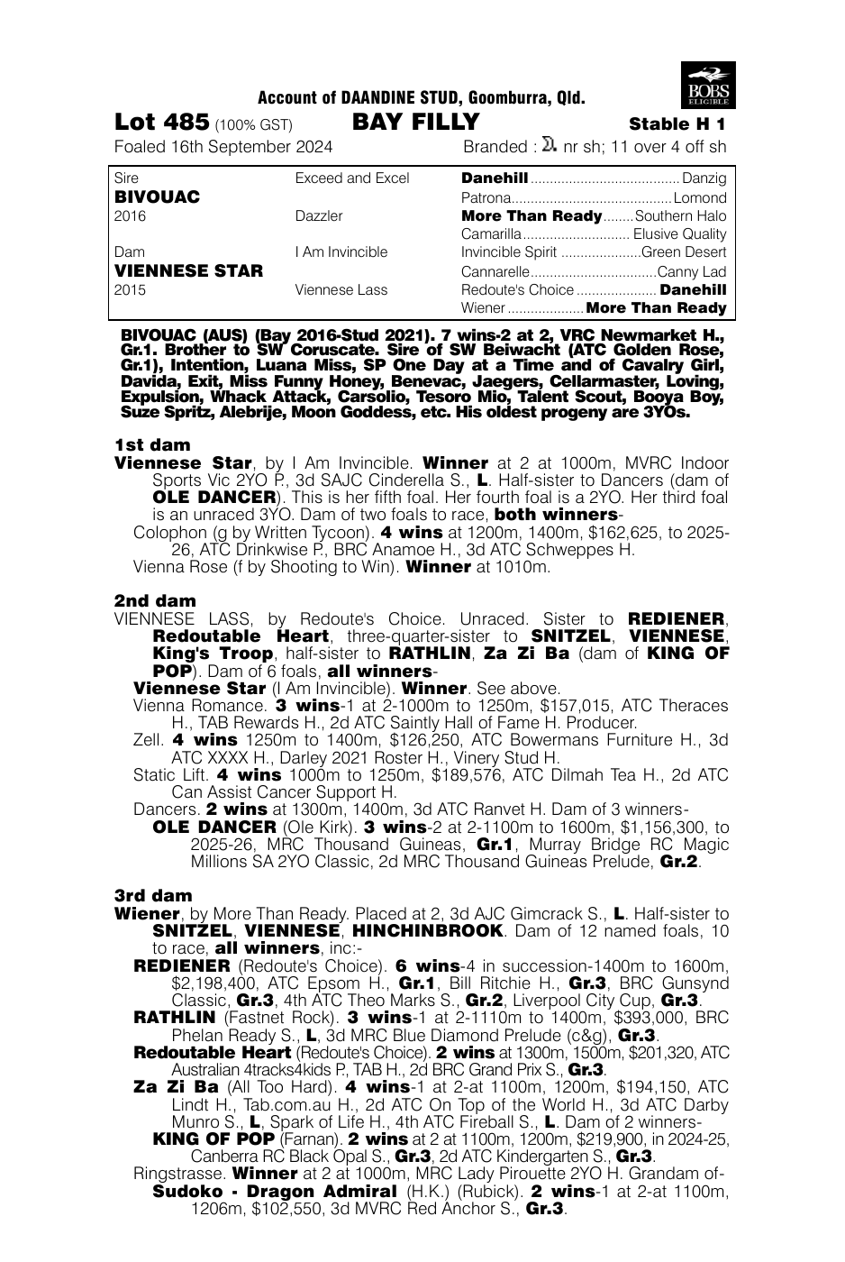 Pedigree - Lot 485