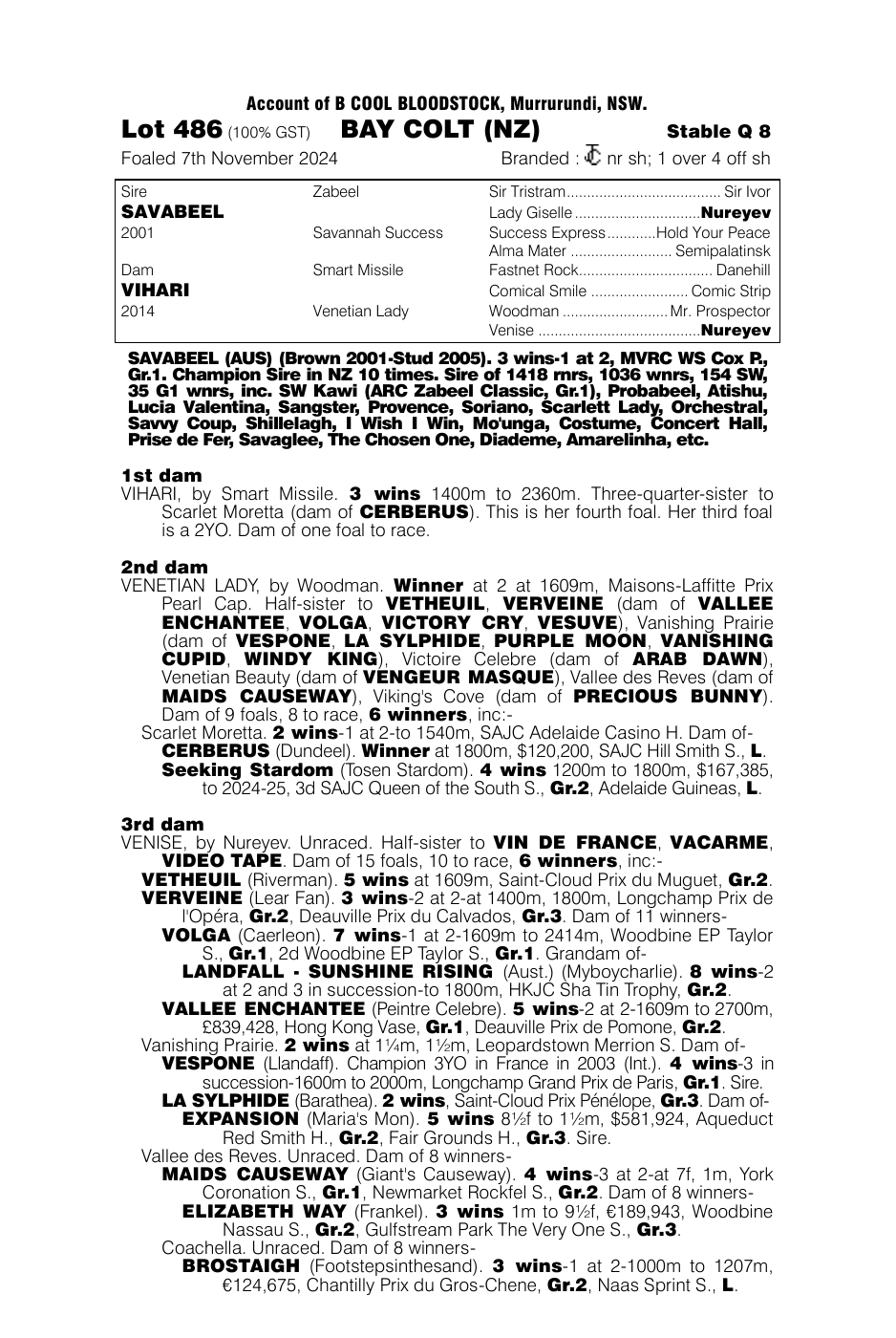 Pedigree - Lot 486