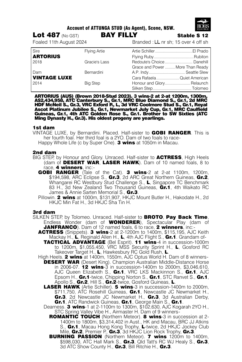 Pedigree - Lot 487