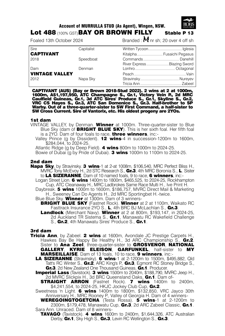 Pedigree - Lot 488