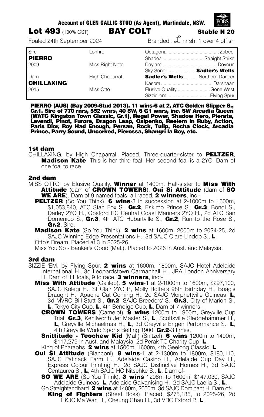 Pedigree - Lot 493