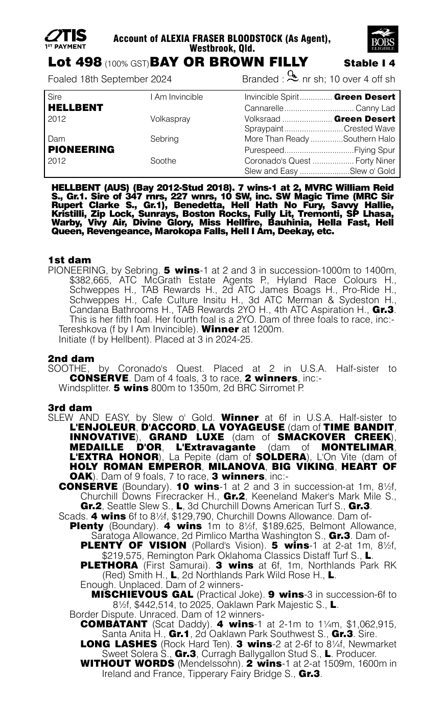 Pedigree - Lot 498