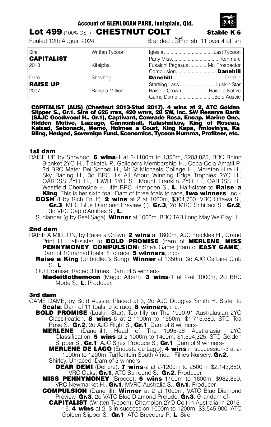 Pedigree - Lot 499