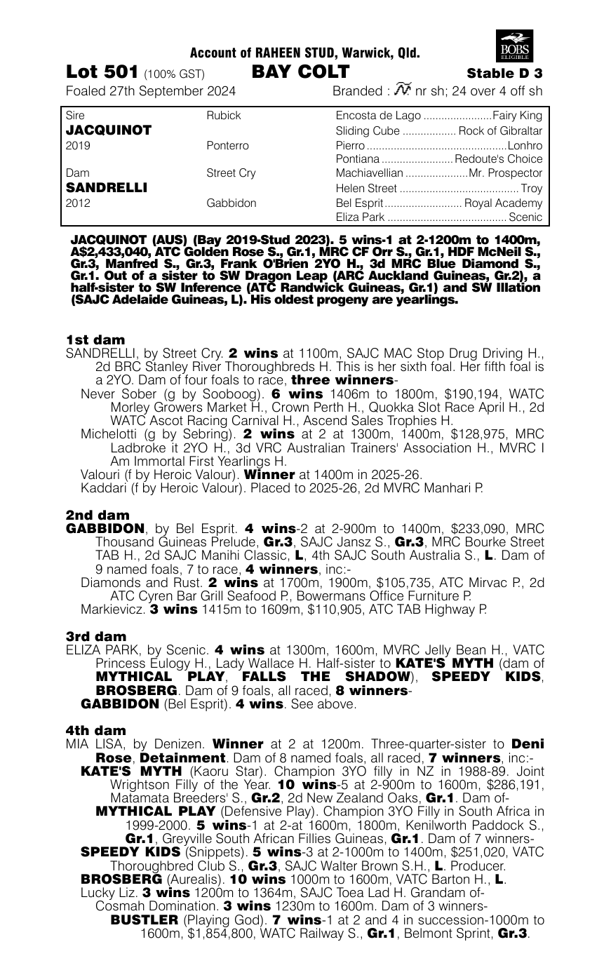 Pedigree - Lot 501