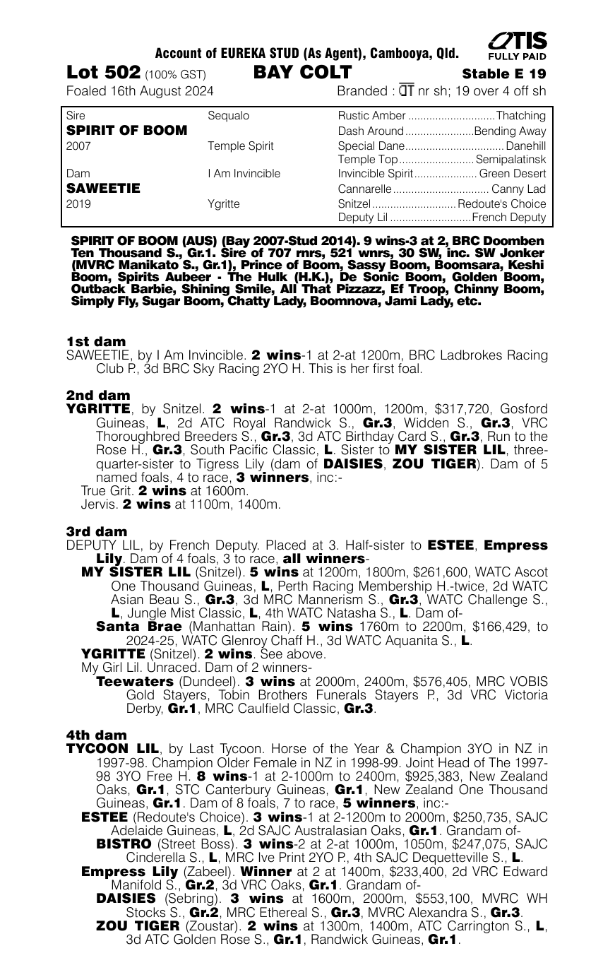 Pedigree - Lot 502