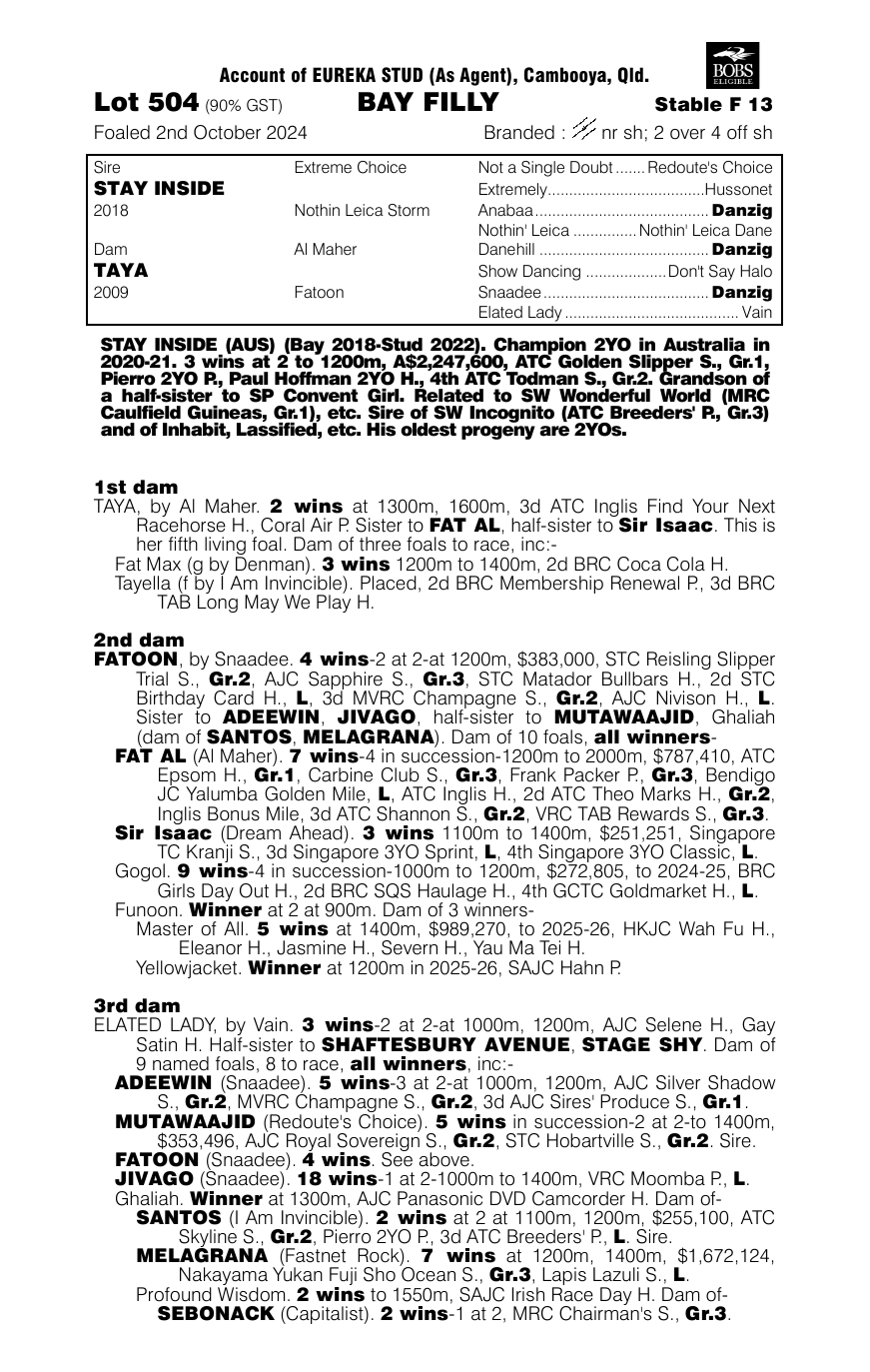 Pedigree - Lot 504