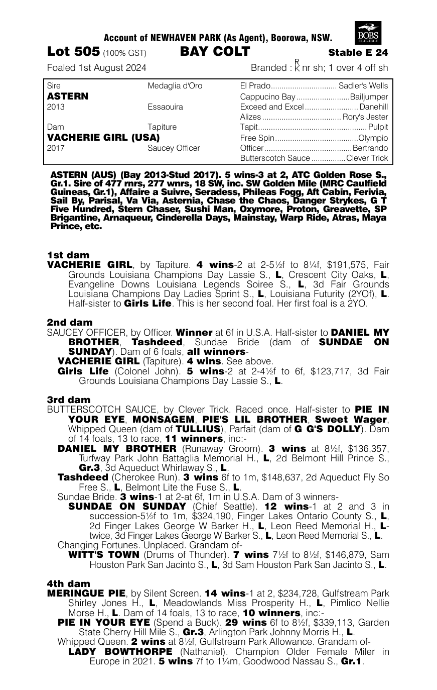 Pedigree - Lot 505