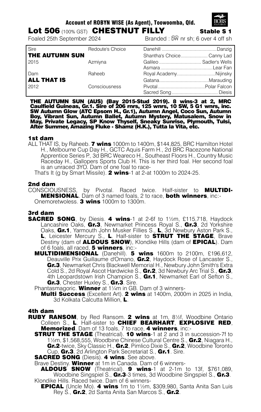 Pedigree - Lot 506