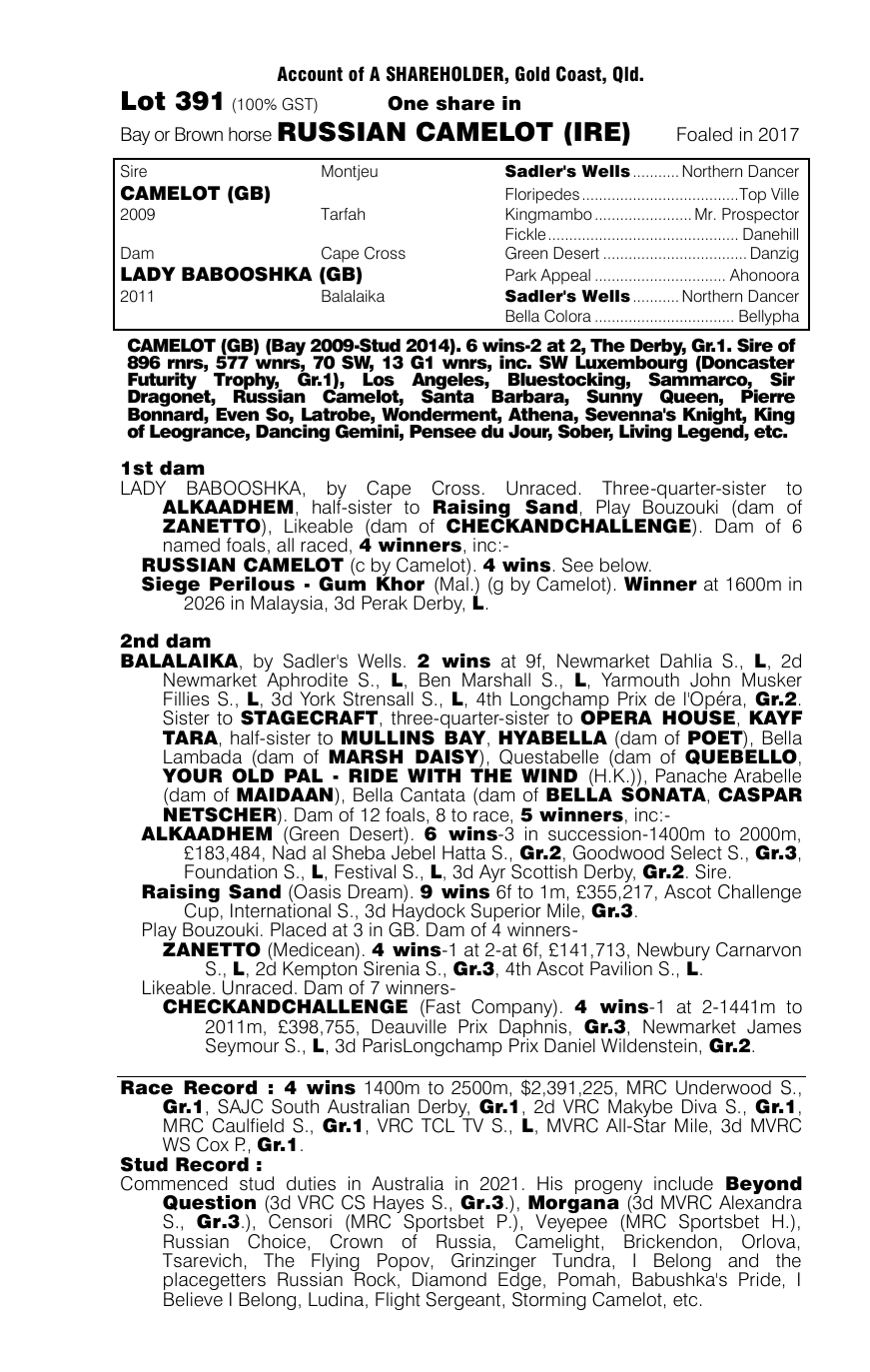 Pedigree - Lot 391