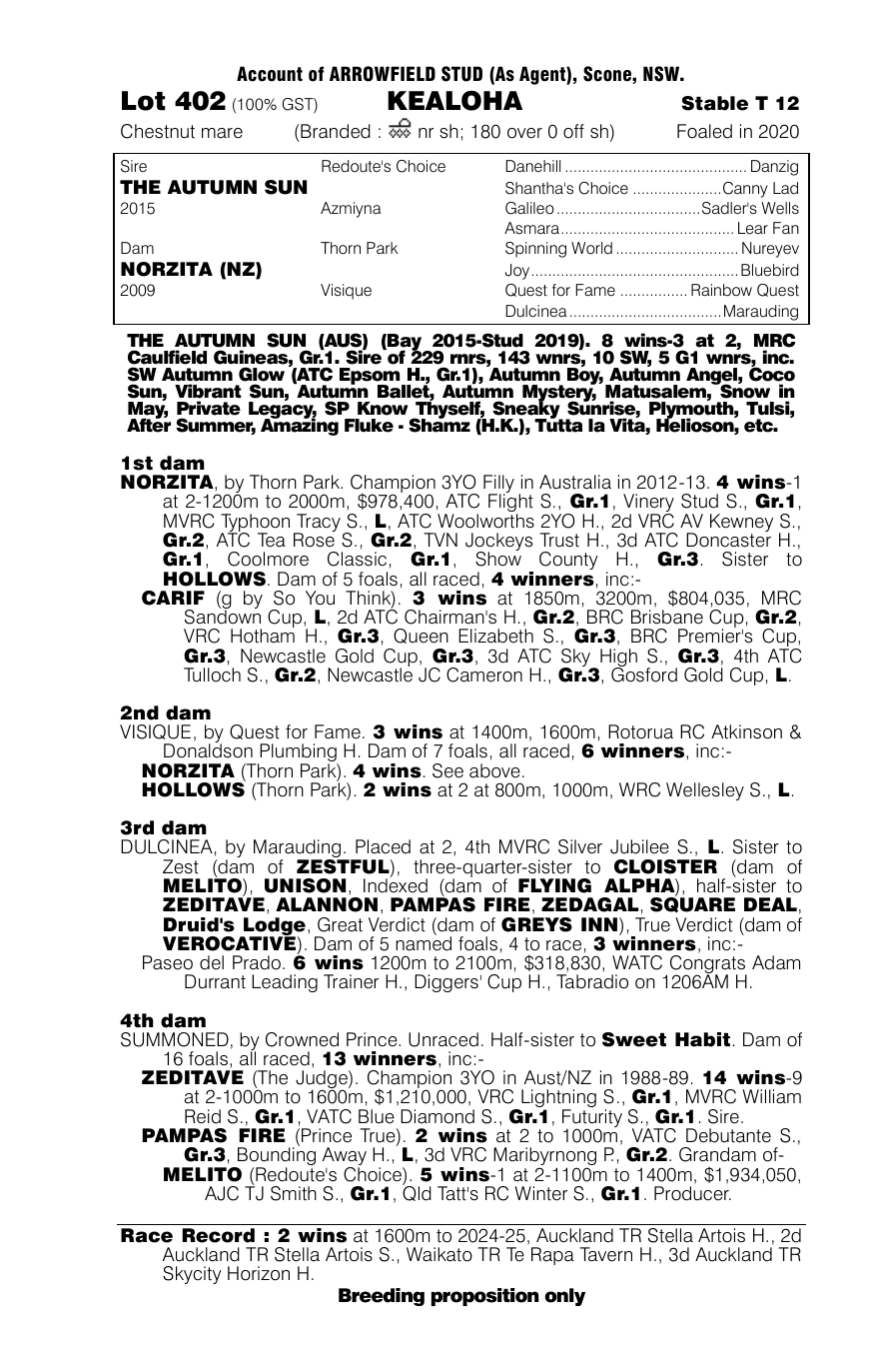 Pedigree - Lot 402