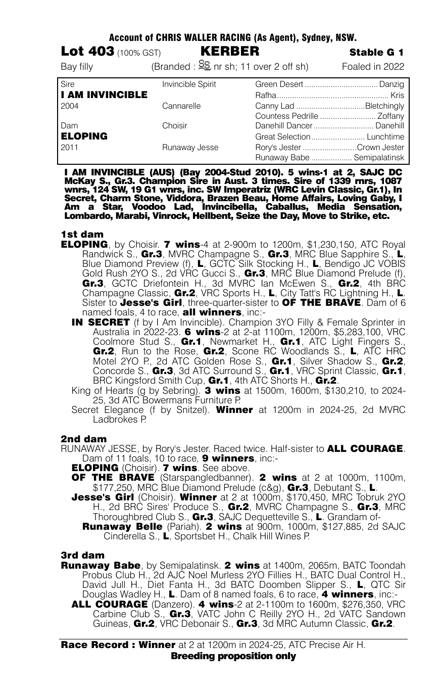Pedigree - Lot 403