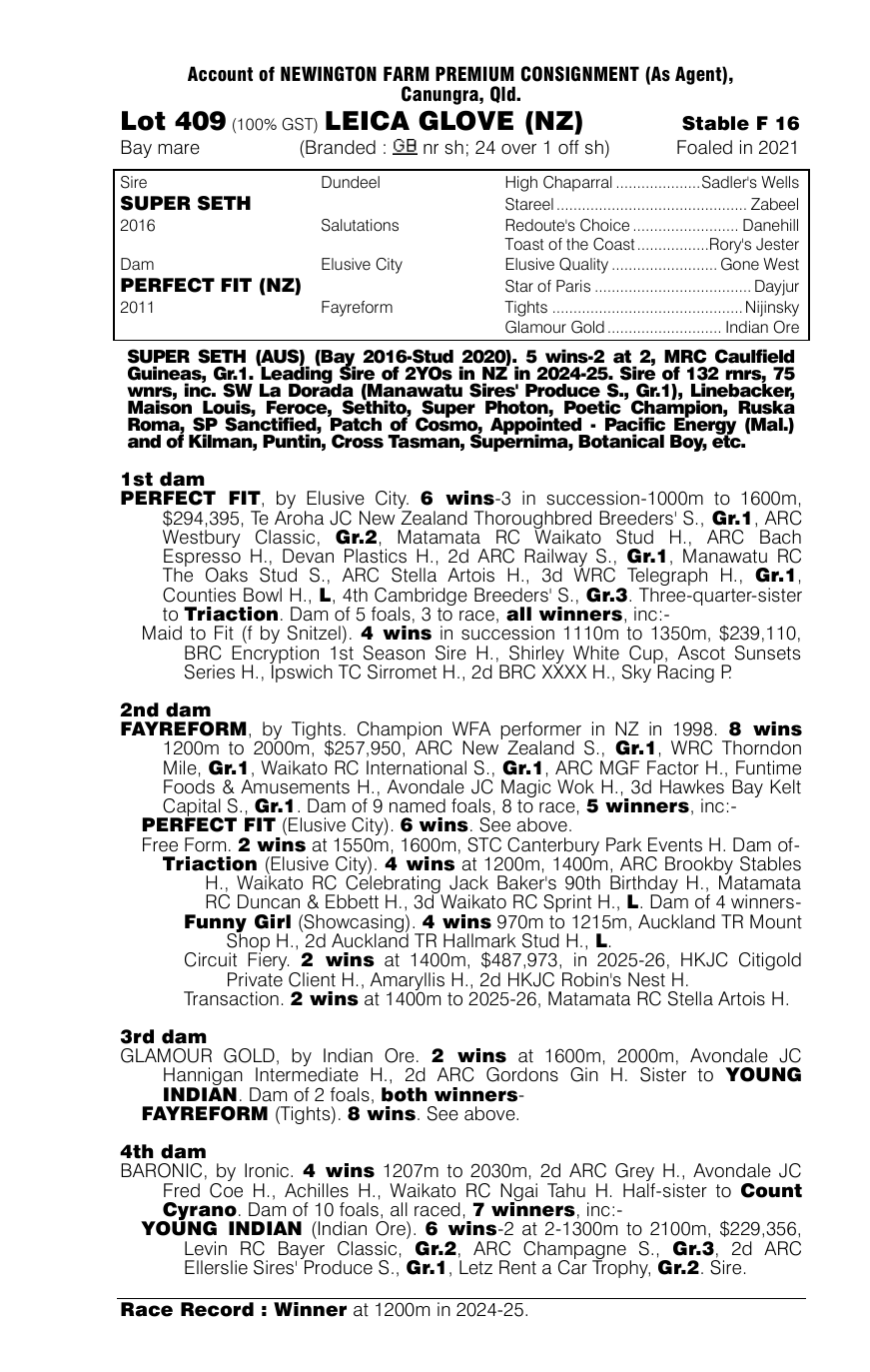Pedigree - Lot 409
