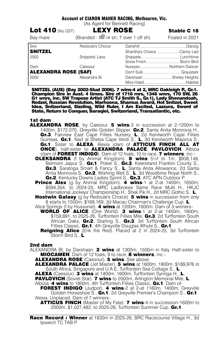 Pedigree - Lot 410