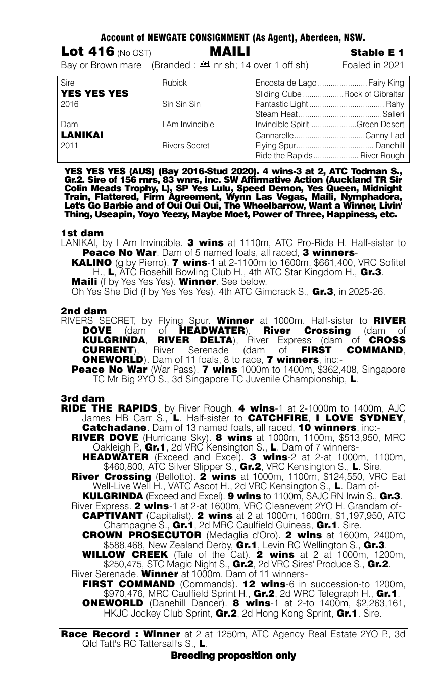Pedigree - Lot 416