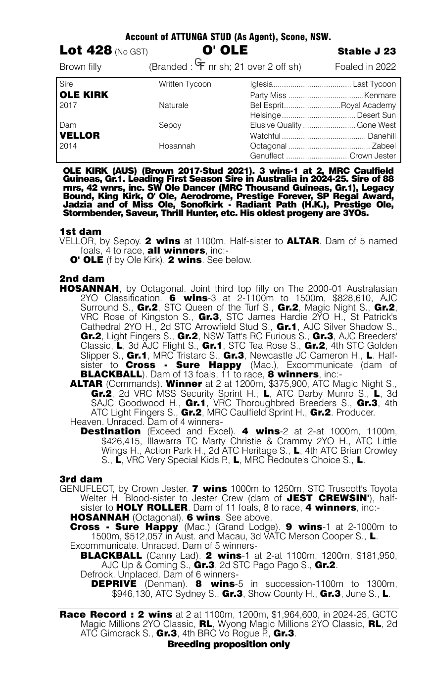 Pedigree - Lot 428