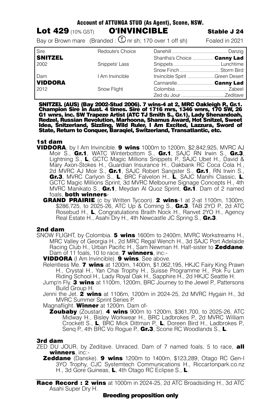 Pedigree - Lot 429