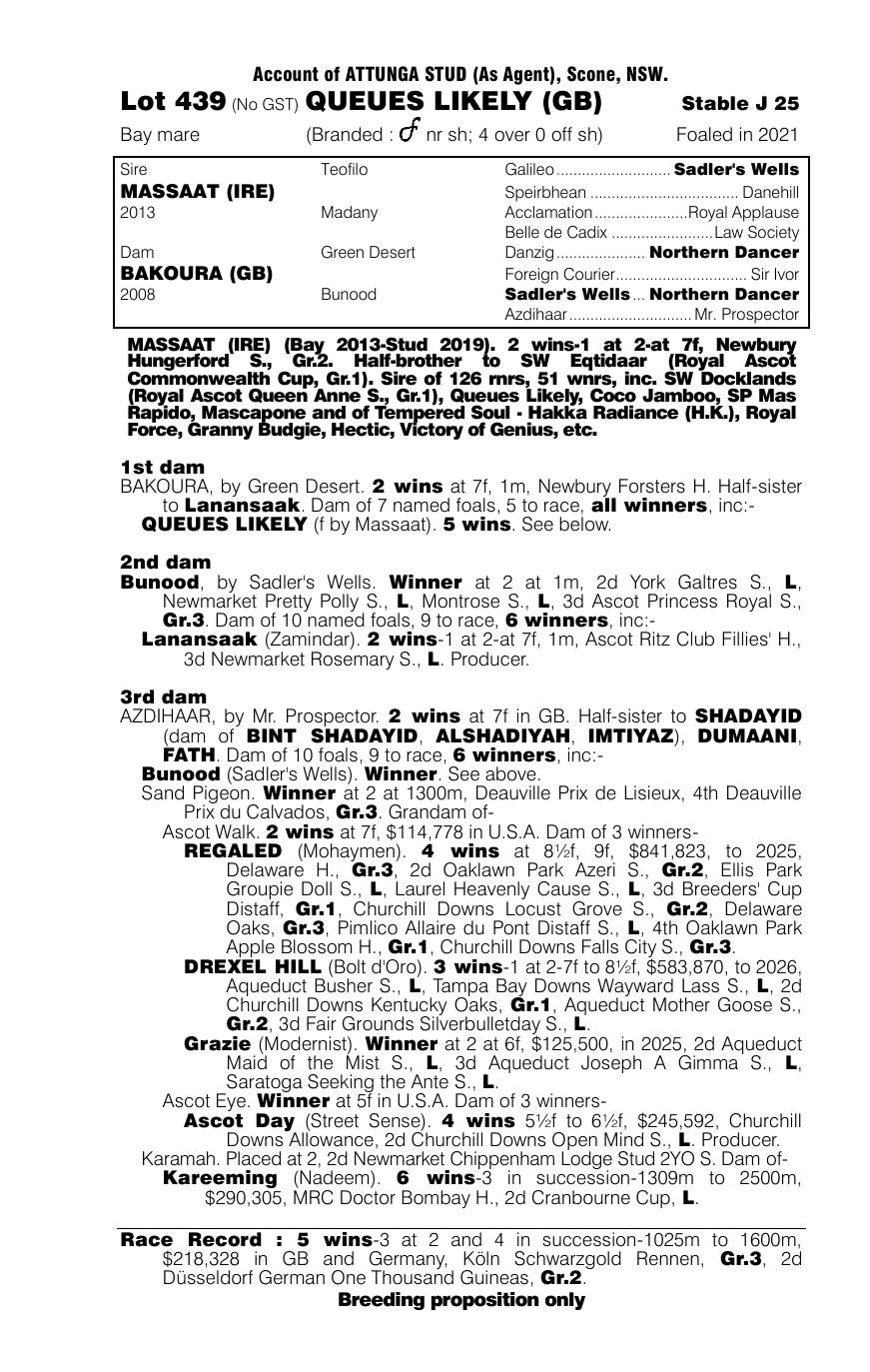 Pedigree - Lot 439