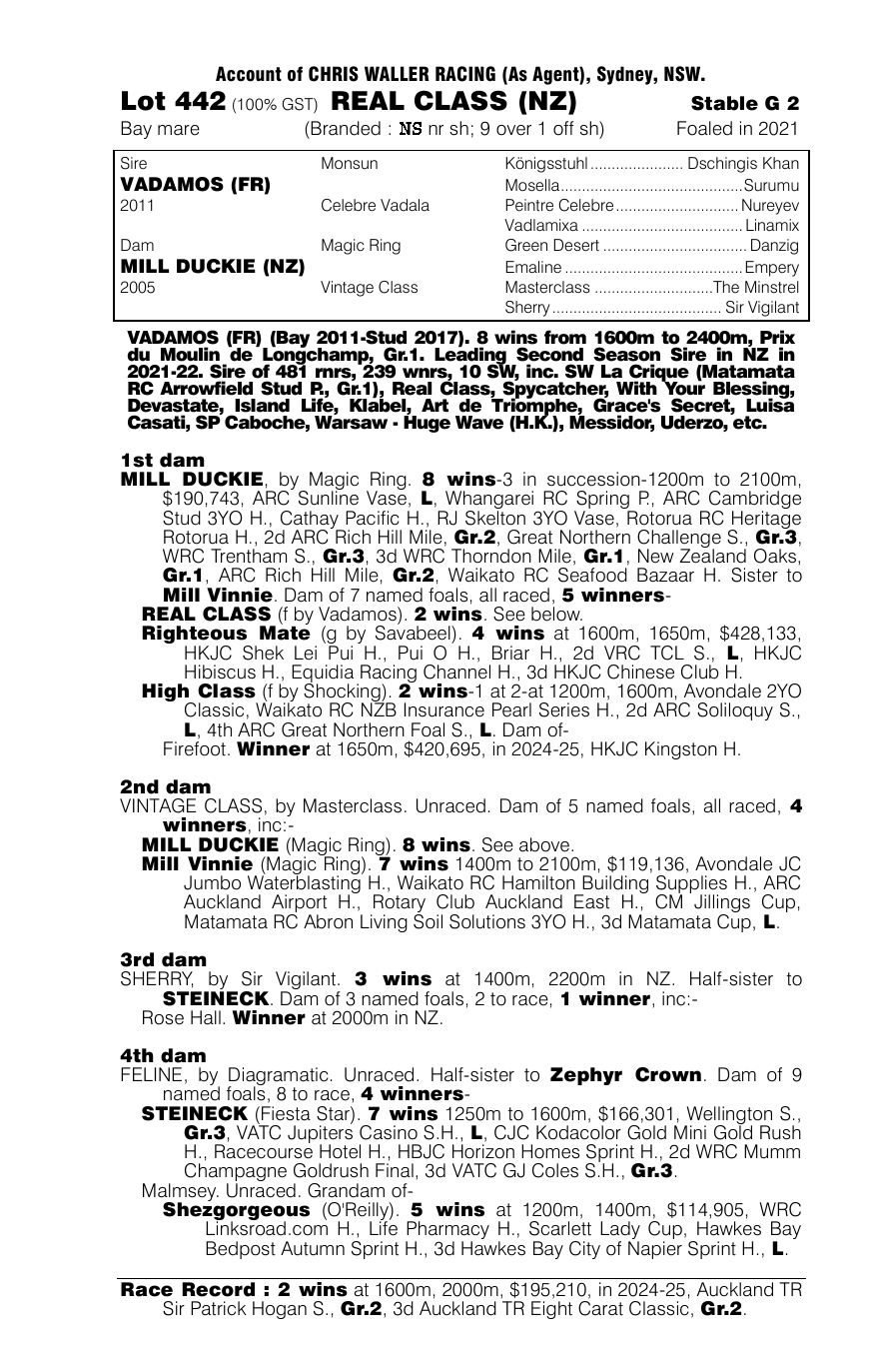 Pedigree - Lot 442