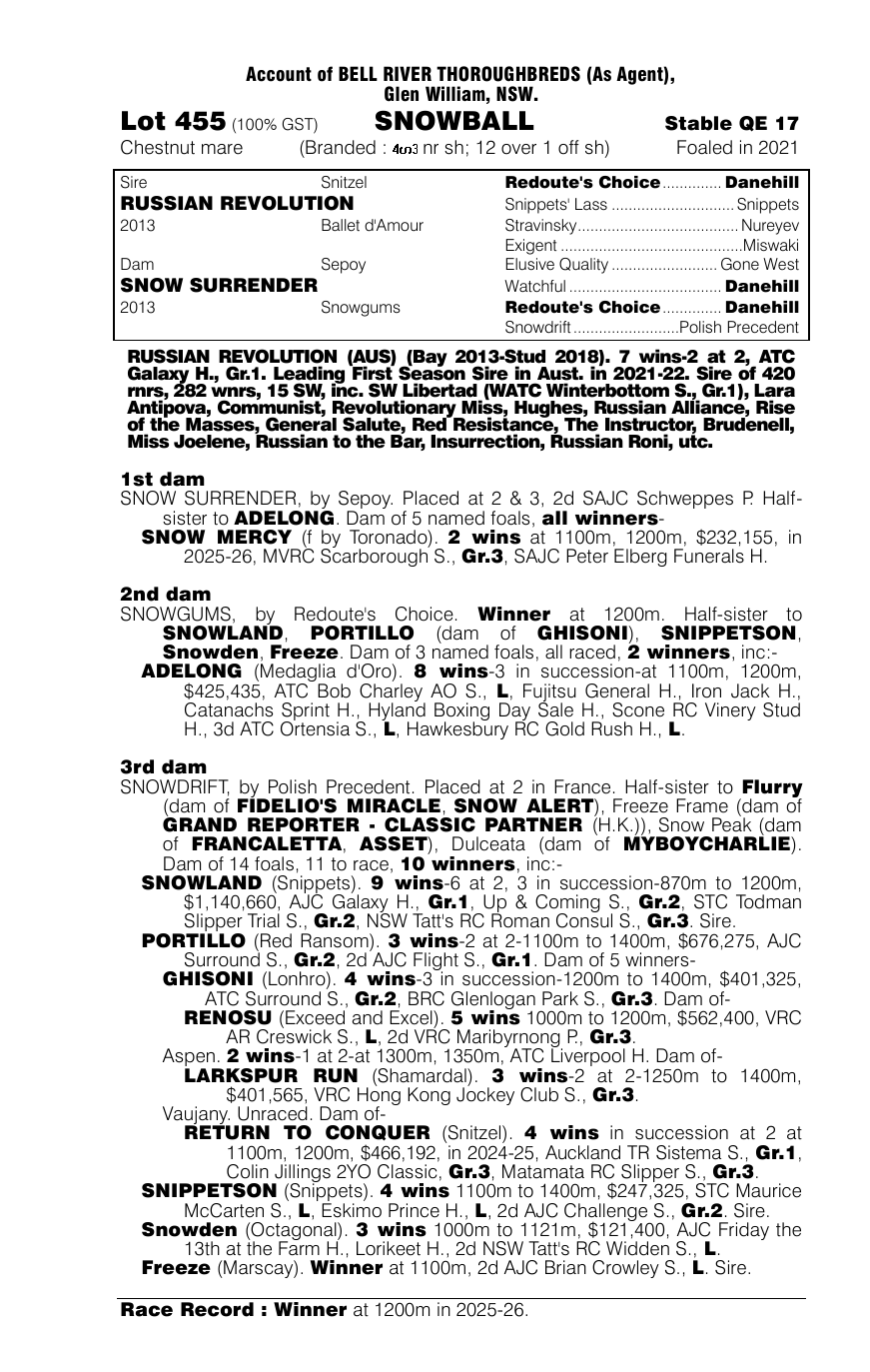 Pedigree - Lot 455