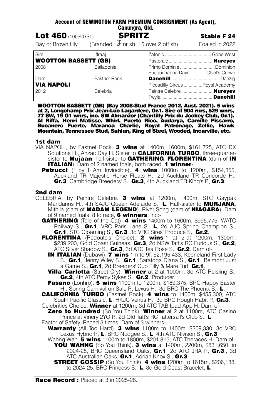 Pedigree - Lot 460