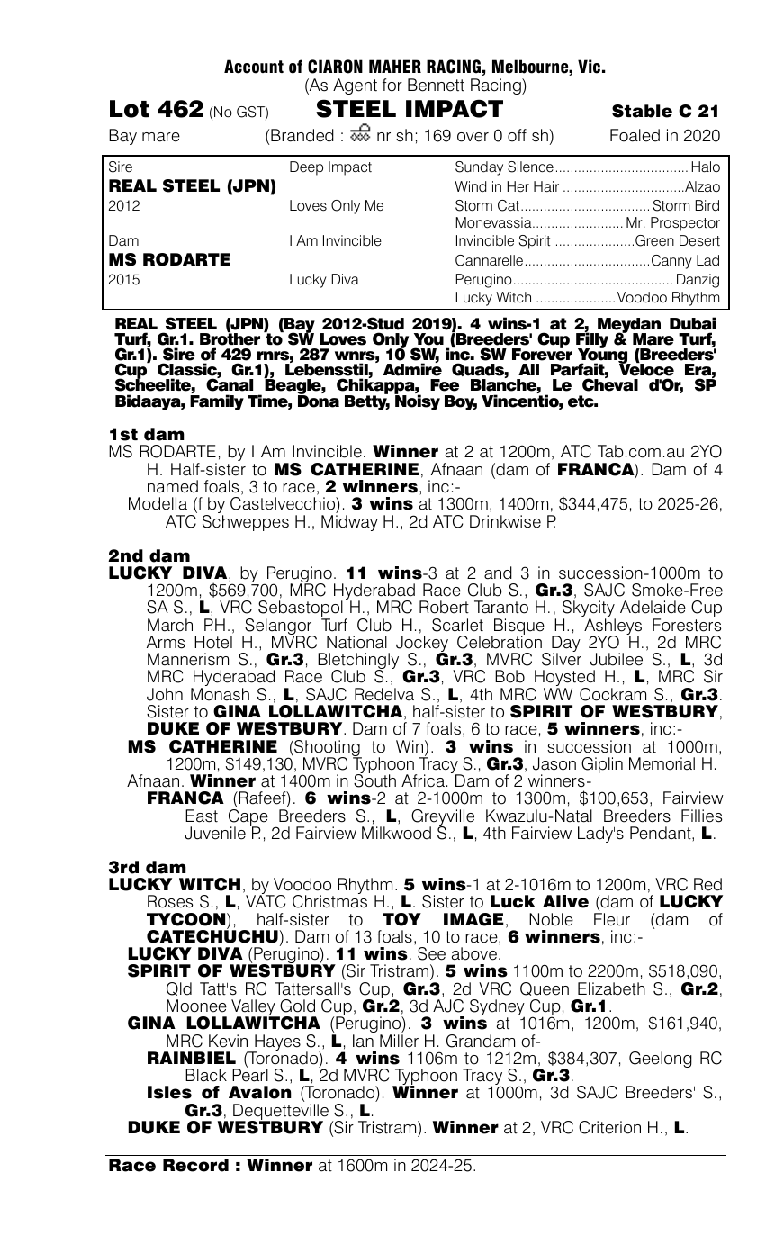Pedigree - Lot 462