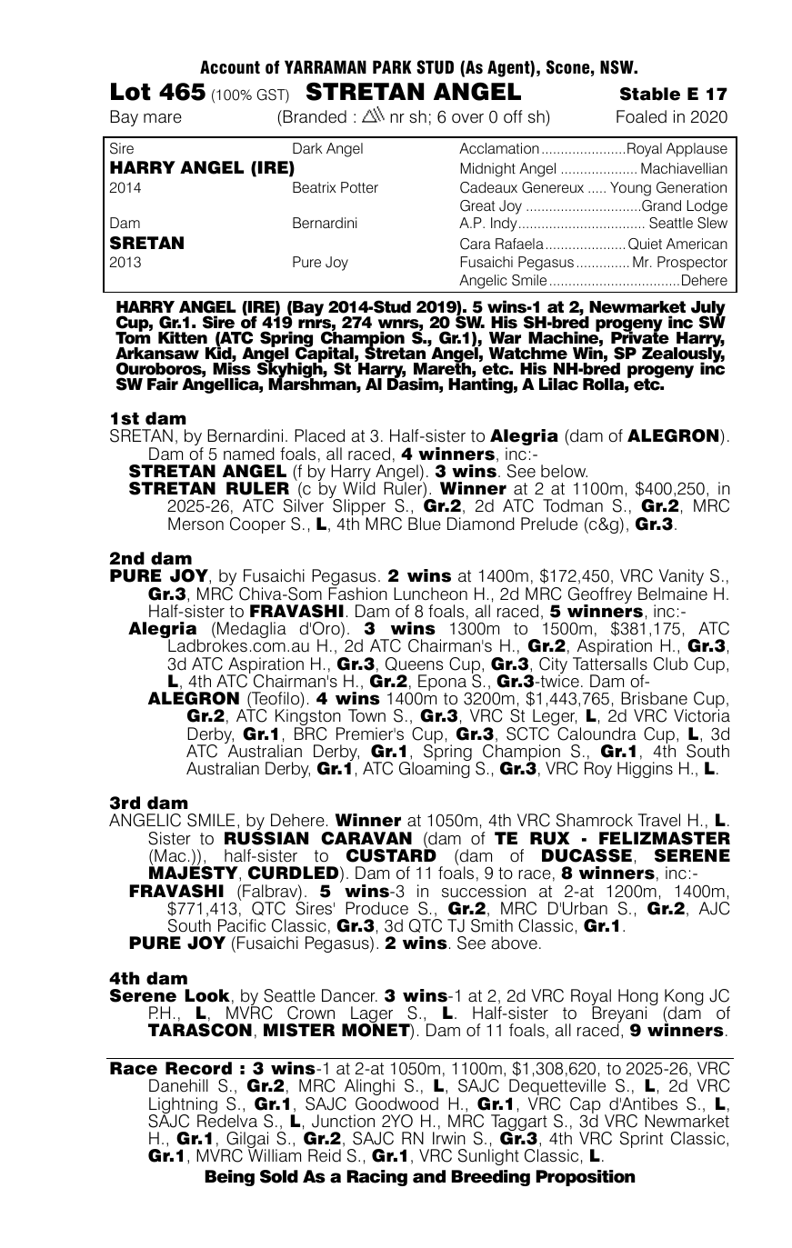 Pedigree - Lot 465