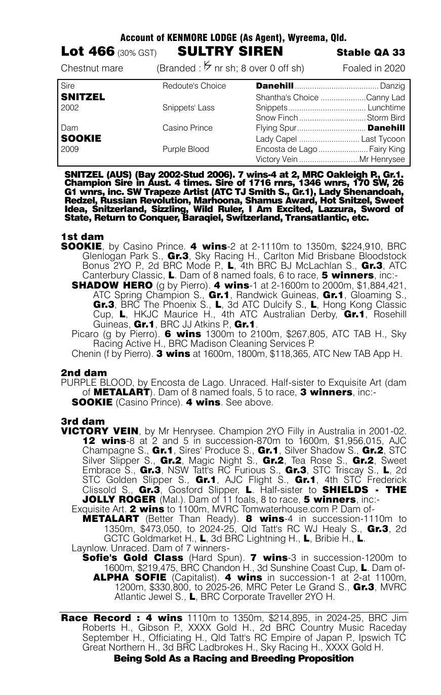 Pedigree - Lot 466