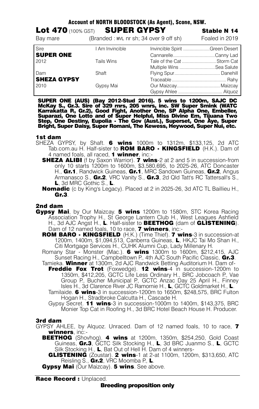 Pedigree - Lot 470